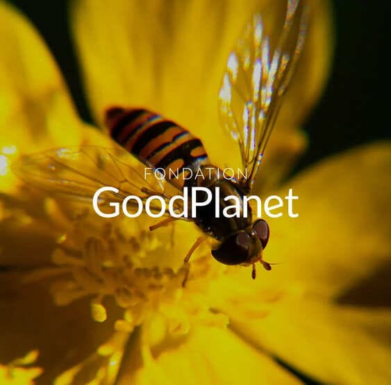Good Planet pic
