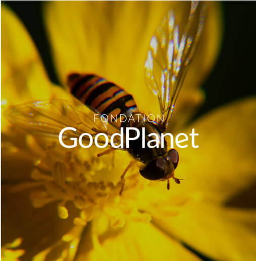 Turnkey animations - Good Planet