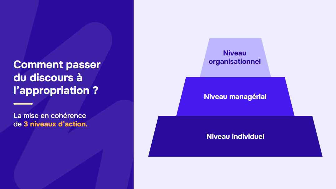 Passer du discours à l'appropriation suppose de mettre en cohérence trois niveaux d'action : organisationnel, managérial et individuel